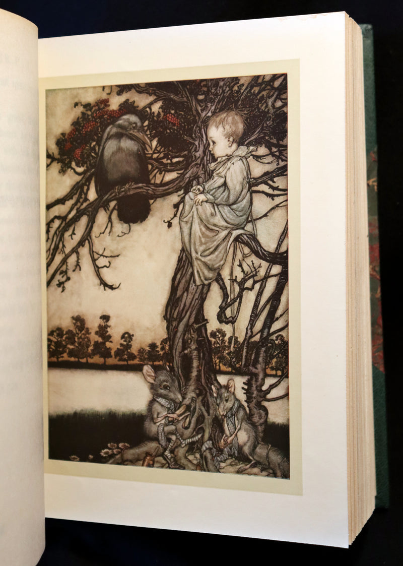 1910 Rare Book - PETER PAN in Kensington Garden illustrated by Arthur Rackham.