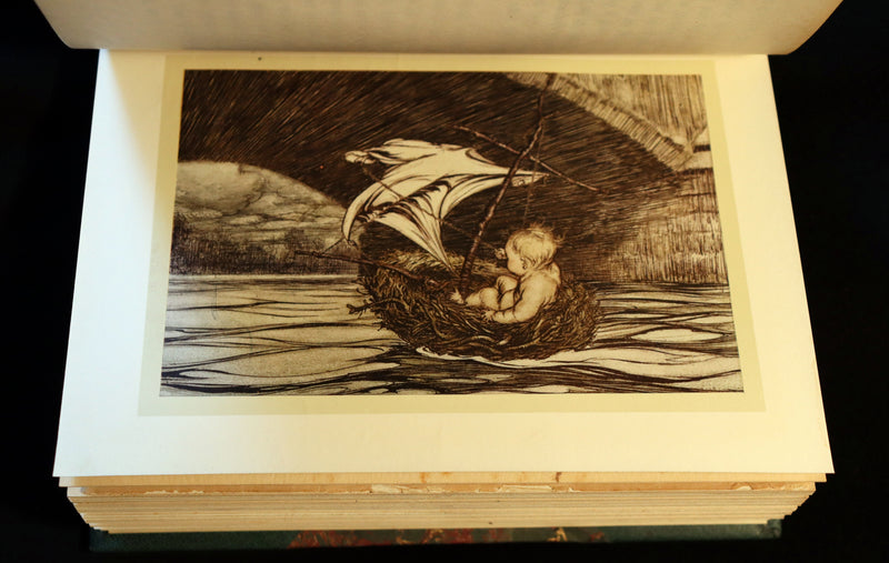 1910 Rare Book - PETER PAN in Kensington Garden illustrated by Arthur Rackham.