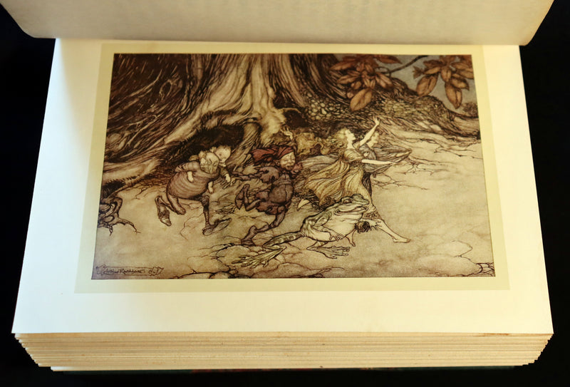 1910 Rare Book - PETER PAN in Kensington Garden illustrated by Arthur Rackham.