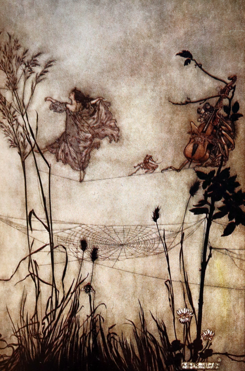 1910 Rare Book - PETER PAN in Kensington Garden illustrated by Arthur Rackham.