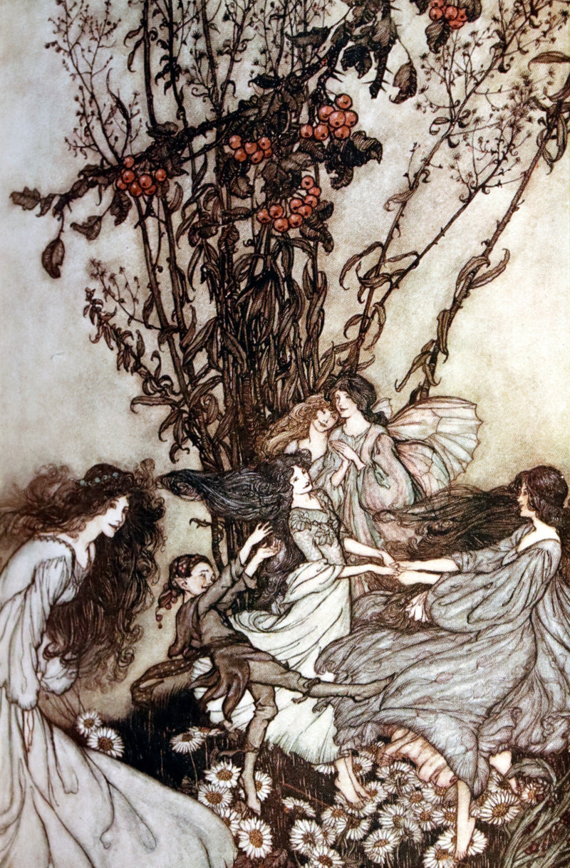 1910 Rare Book - PETER PAN in Kensington Garden illustrated by Arthur Rackham.