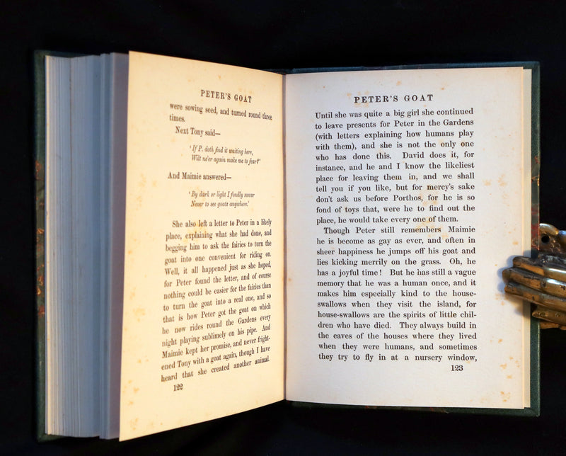 1910 Rare Book - PETER PAN in Kensington Garden illustrated by Arthur Rackham.