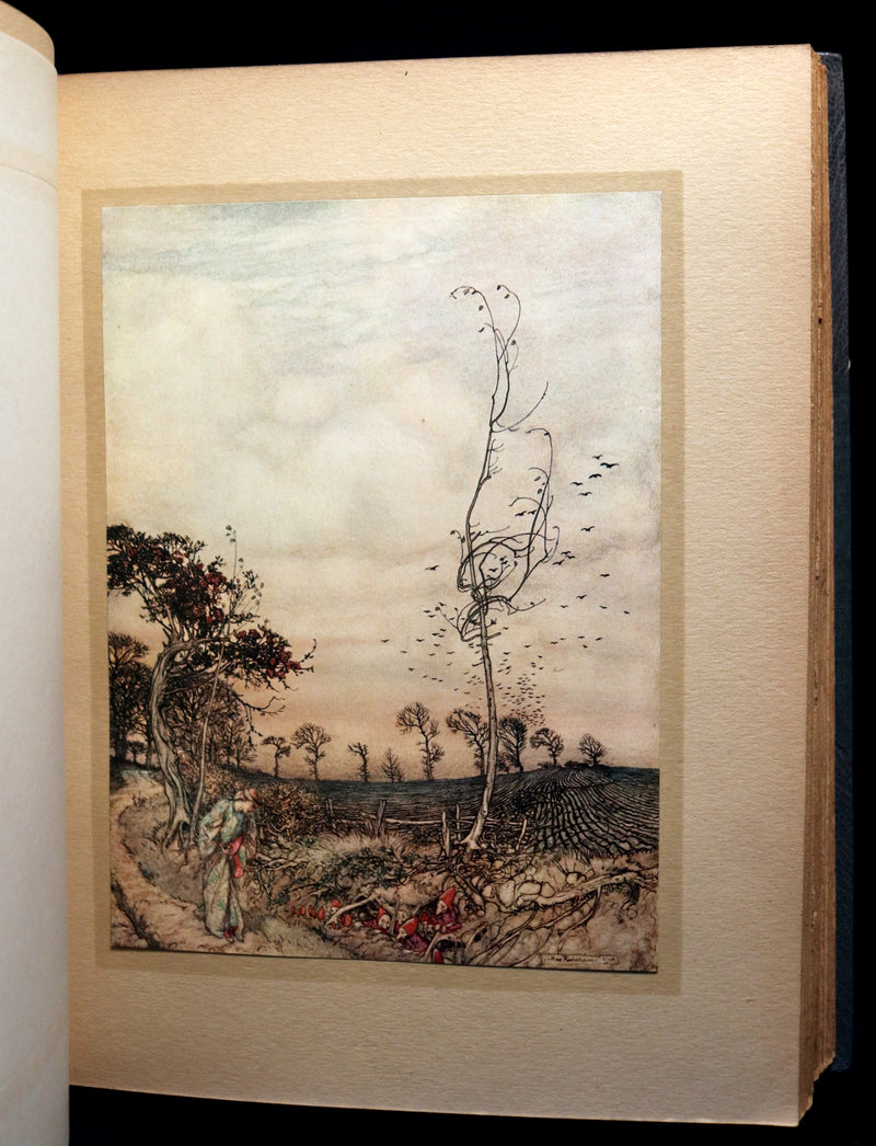 1913 Rare First Edition - Arthur RACKHAM's Book of Pictures - Magic, Elves, Goblins, Dragons, Frog Prince, Santa Claus, Sea Serpent, etc.