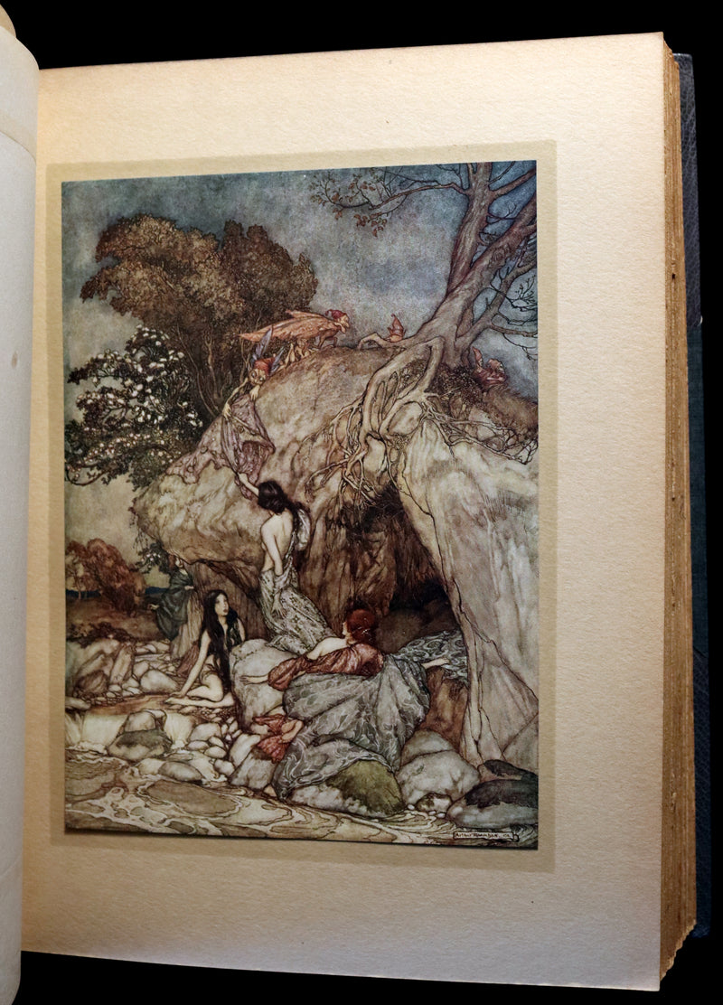 1913 Rare First Edition - Arthur RACKHAM's Book of Pictures - Magic, Elves, Goblins, Dragons, Frog Prince, Santa Claus, Sea Serpent, etc.