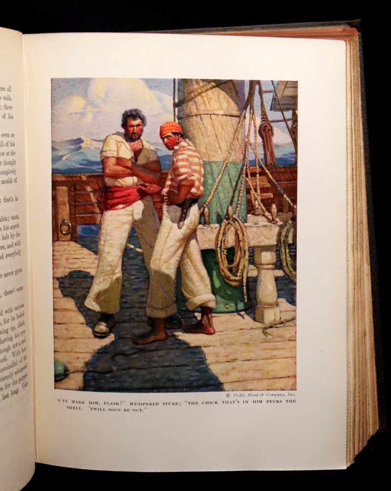 1923 Rare Edition - MOBY DICK or The White Whale by Herman Melville illustrated by Mead Schaeffer.