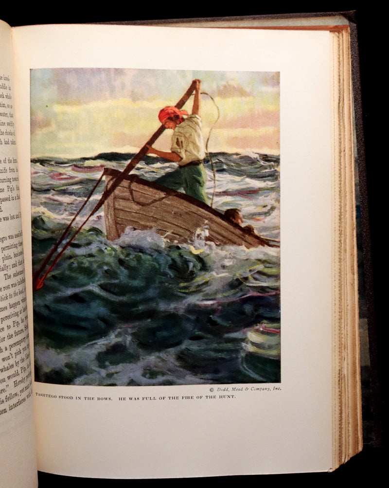 1923 Rare Edition - MOBY DICK or The White Whale by Herman Melville illustrated by Mead Schaeffer.