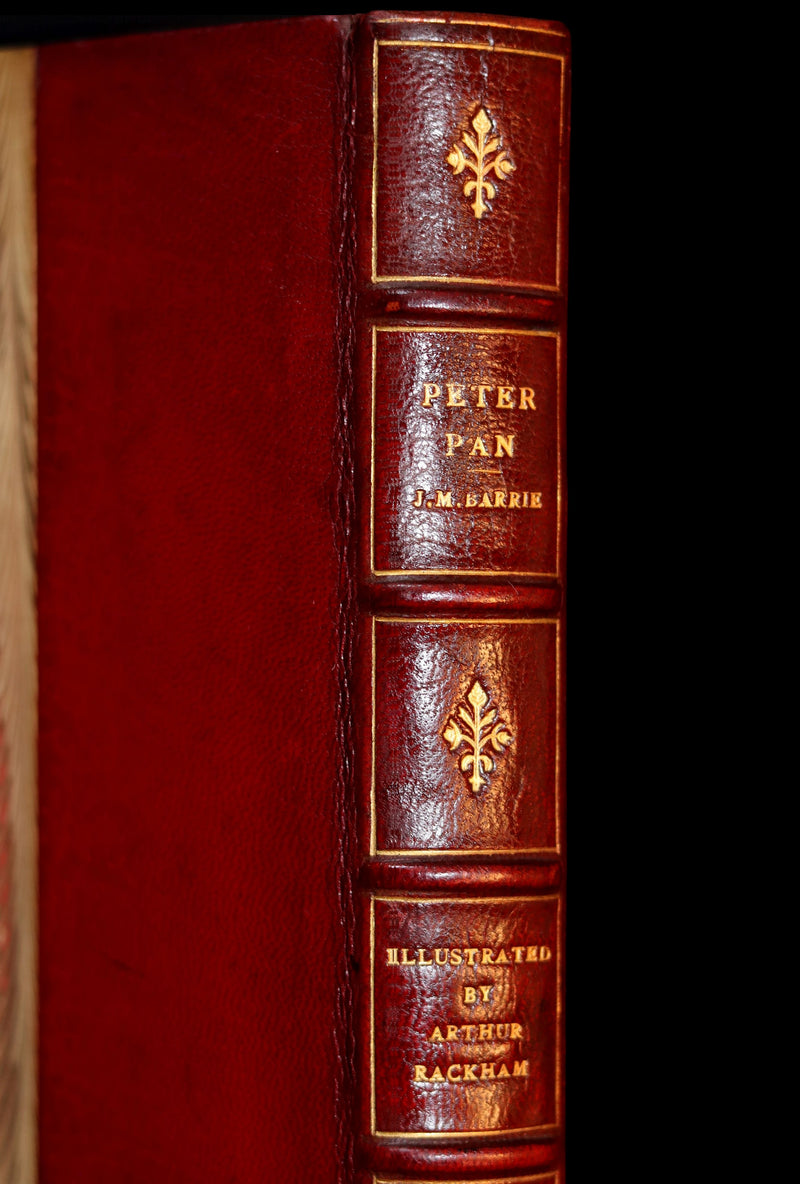 1910 Rare Book - PETER PAN in Kensington Garden illustrated by Arthur Rackham.