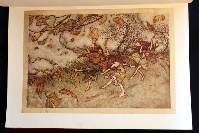 1910 Rare Book - PETER PAN in Kensington Garden illustrated by Arthur Rackham.