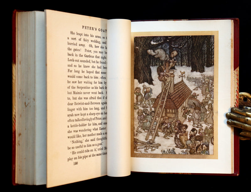 1910 Rare Book - PETER PAN in Kensington Garden illustrated by Arthur Rackham.