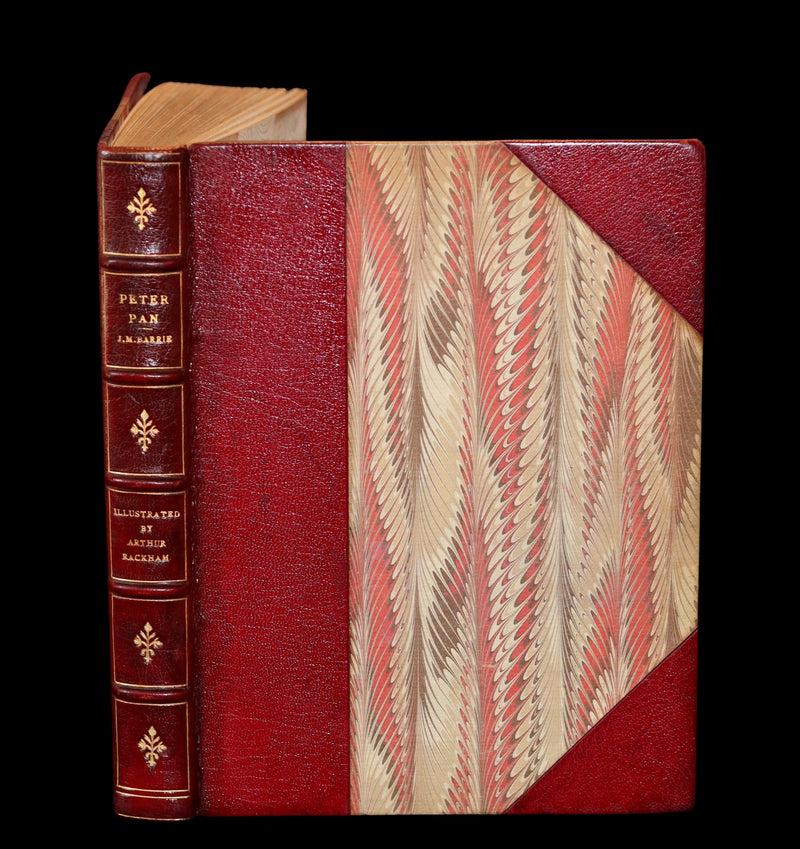 1910 Rare Book - PETER PAN in Kensington Garden illustrated by Arthur Rackham.