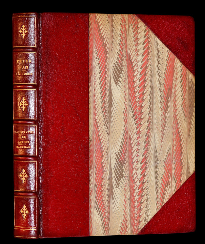 1910 Rare Book - PETER PAN in Kensington Garden illustrated by Arthur Rackham.