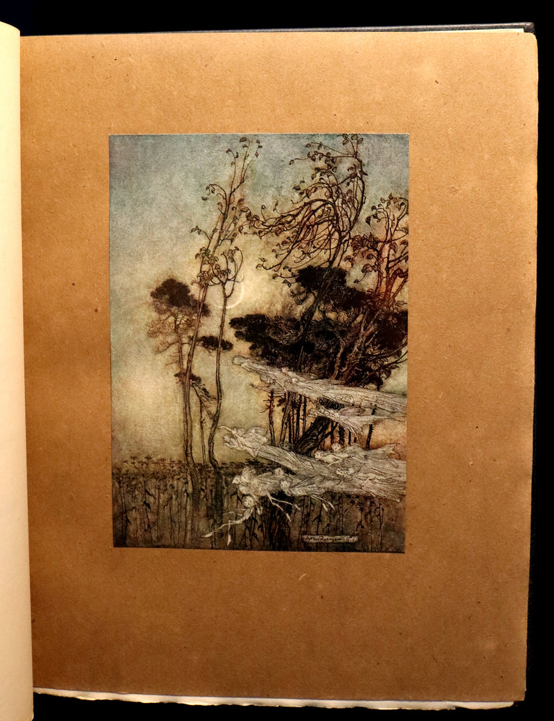 1908 Rare Limited Book Signed by Rackham - Shakespeare's Midsummer Night's Dream in a beautiful binding.