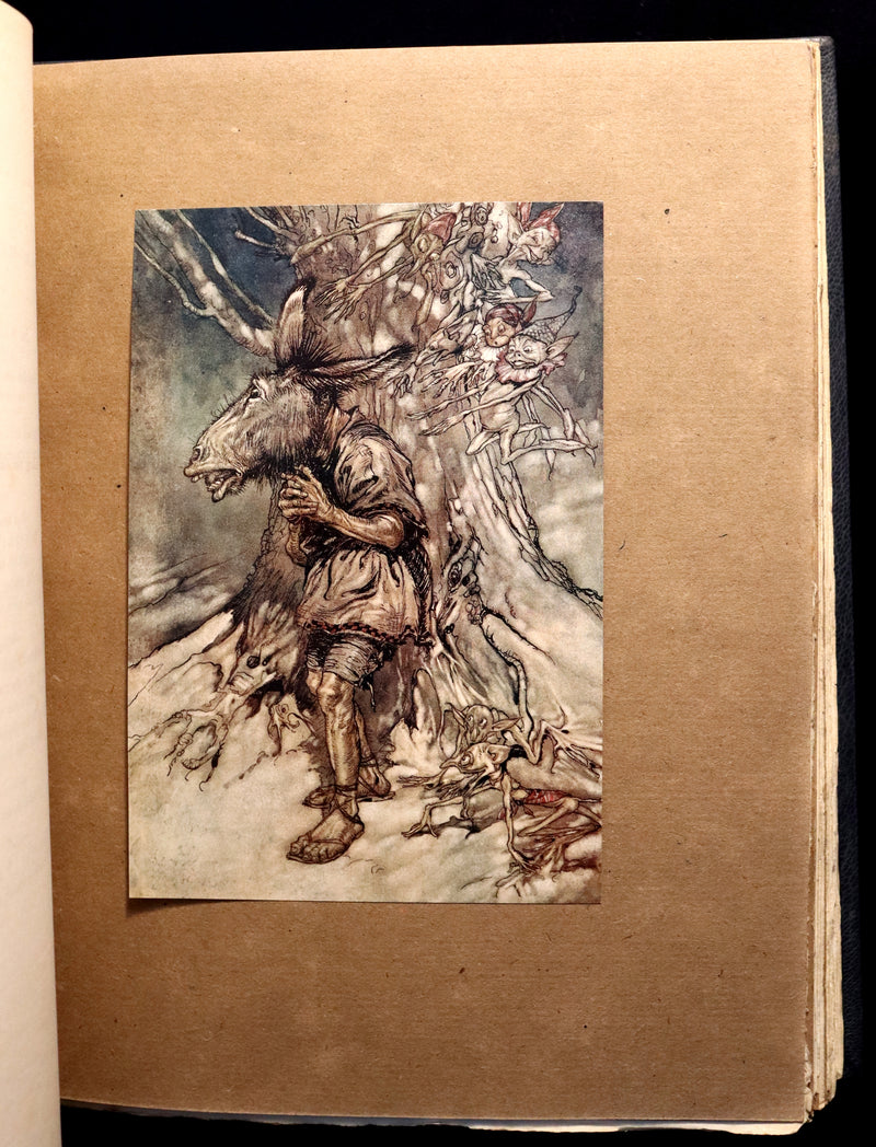 1908 Rare Limited Book Signed by Rackham - Shakespeare's Midsummer Night's Dream in a beautiful binding.