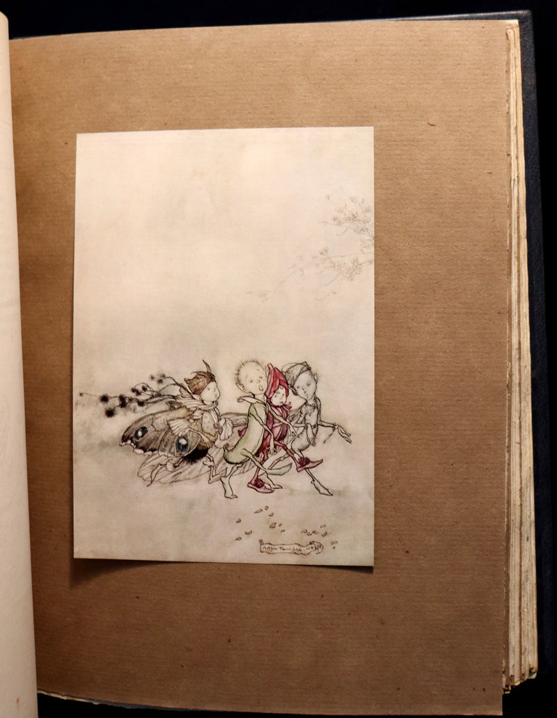1908 Rare Limited Book Signed by Rackham - Shakespeare's Midsummer Night's Dream in a beautiful binding.