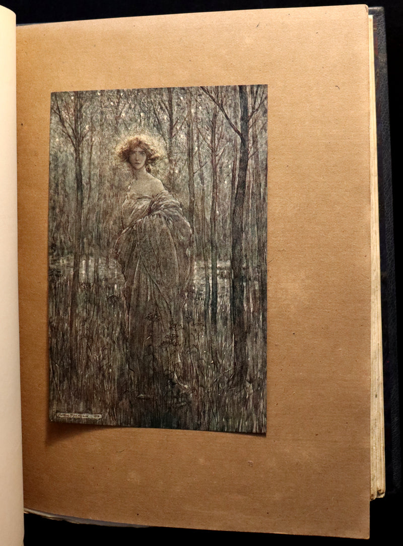 1908 Rare Limited Book Signed by Rackham - Shakespeare's Midsummer Night's Dream in a beautiful binding.