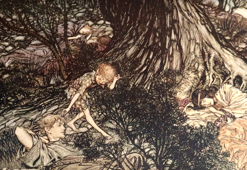 1908 Rare Limited Book Signed by Rackham - Shakespeare's Midsummer Night's Dream in a beautiful binding.