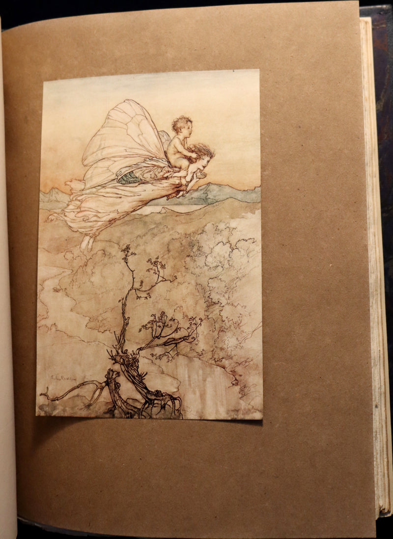 1908 Rare Limited Book Signed by Rackham - Shakespeare's Midsummer Night's Dream in a beautiful binding.