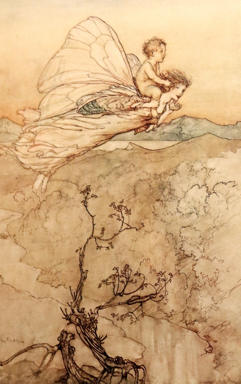 1908 Rare Limited Book Signed by Rackham - Shakespeare's Midsummer Night's Dream in a beautiful binding.