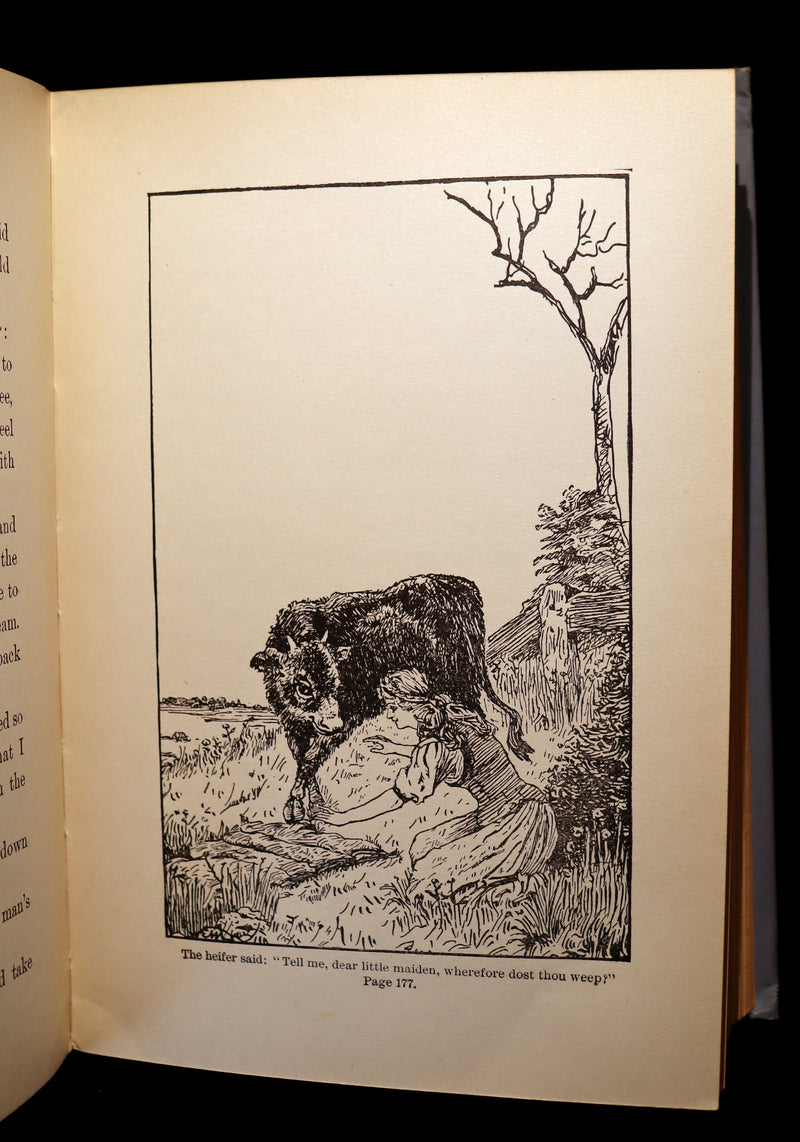 1894 Scarce Victorian Book - COSSACK Fairy Tales and Folk-Tales by R. Nisbet Bain. Illustrated.