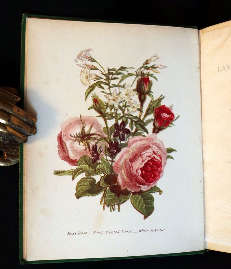 1875 Rare Floriography Book - The Language of Flowers or Floral Emblems by Robert Tyas. Color Illustrated.