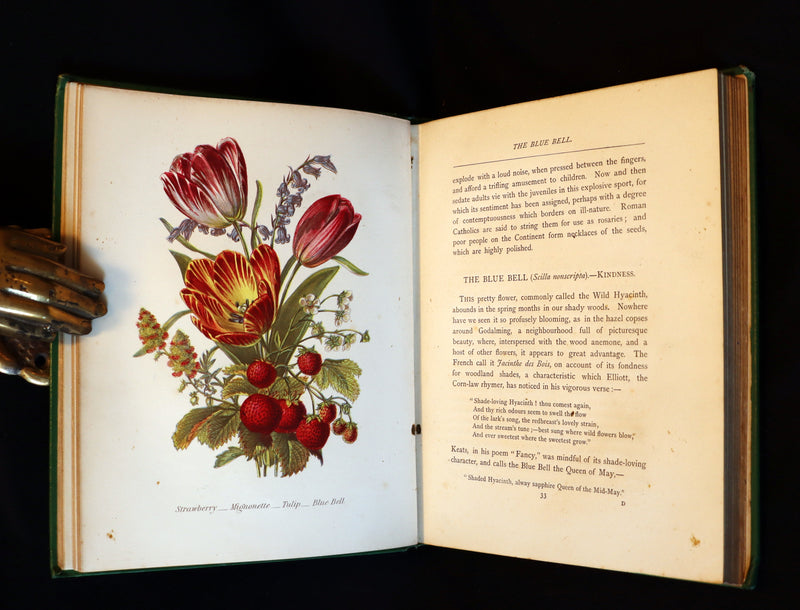 1875 Rare Floriography Book - The Language of Flowers or Floral Emblems by Robert Tyas. Color Illustrated.