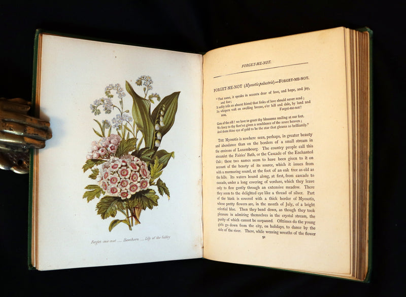 1875 Rare Floriography Book - The Language of Flowers or Floral Emblems by Robert Tyas. Color Illustrated.