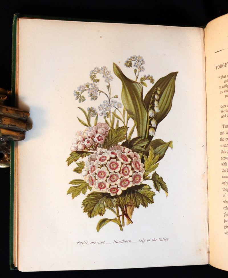 1875 Rare Floriography Book - The Language of Flowers or Floral Emblems by Robert Tyas. Color Illustrated.