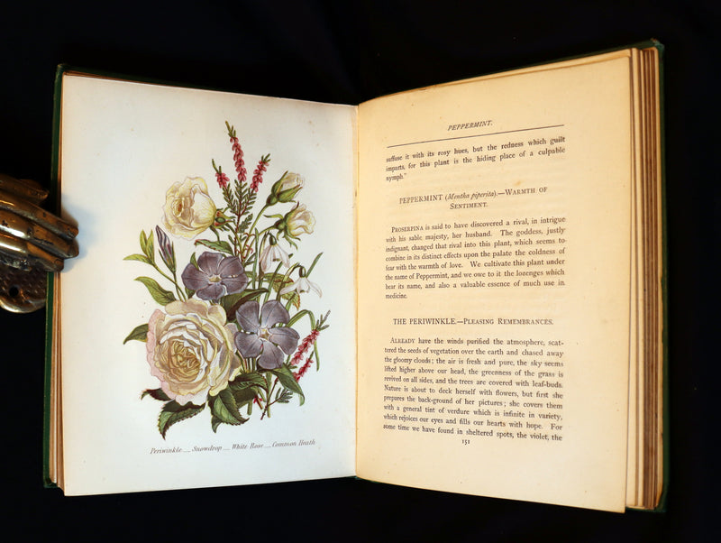 1875 Rare Floriography Book - The Language of Flowers or Floral Emblems by Robert Tyas. Color Illustrated.