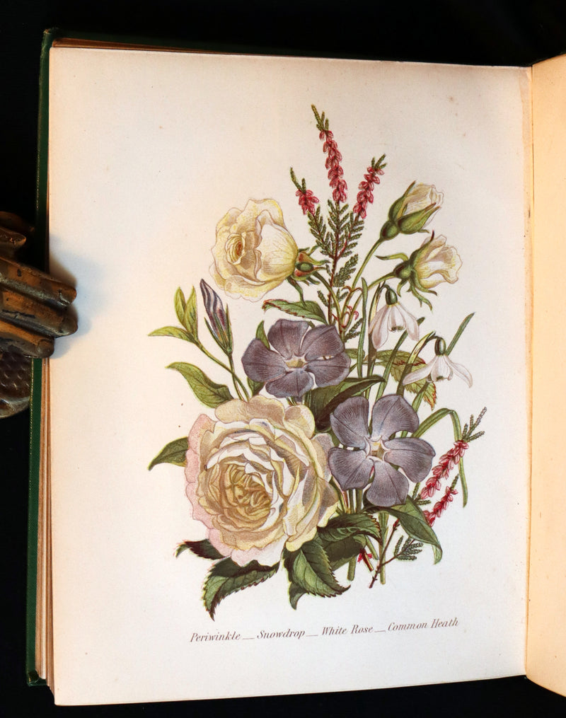 1875 Rare Floriography Book - The Language of Flowers or Floral Emblems by Robert Tyas. Color Illustrated.