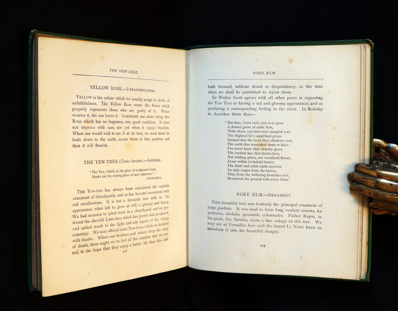 1875 Rare Floriography Book - The Language of Flowers or Floral Emblems by Robert Tyas. Color Illustrated.