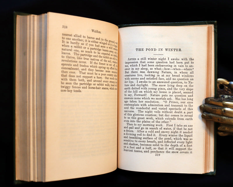 1899 Scarce Victorian Book - WALDEN or Life in the Woods by Henry David Thoreau.