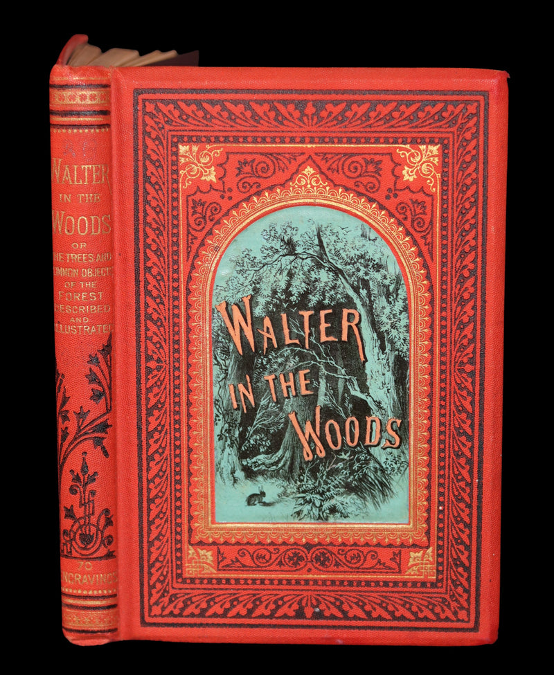1870 Rare Victorian Book - WALTER IN THE WOODS - The Trees and Common Objects of the Forest.