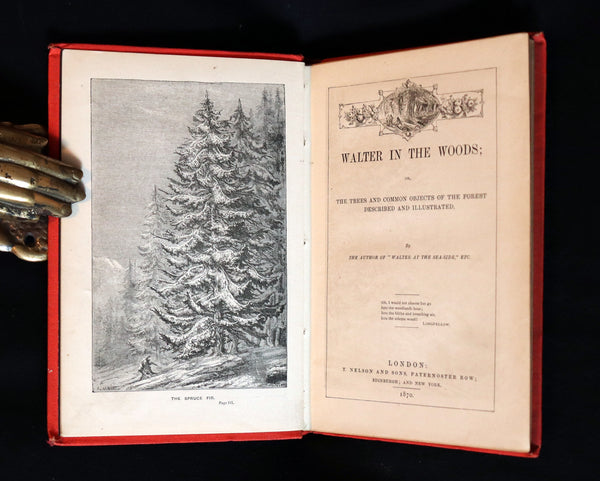 1870 Rare Victorian Book - WALTER IN THE WOODS - The Trees and Common Objects of the Forest.