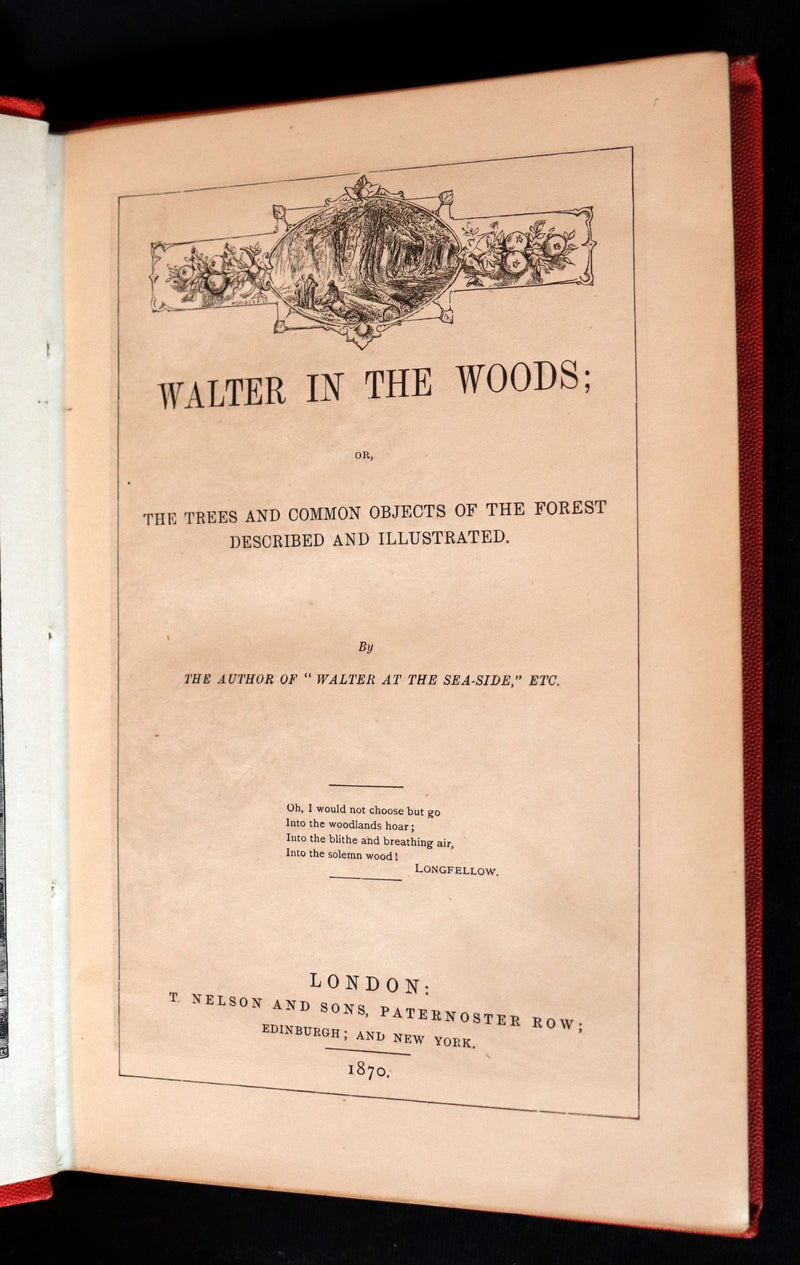1870 Rare Victorian Book - WALTER IN THE WOODS - The Trees and Common Objects of the Forest.