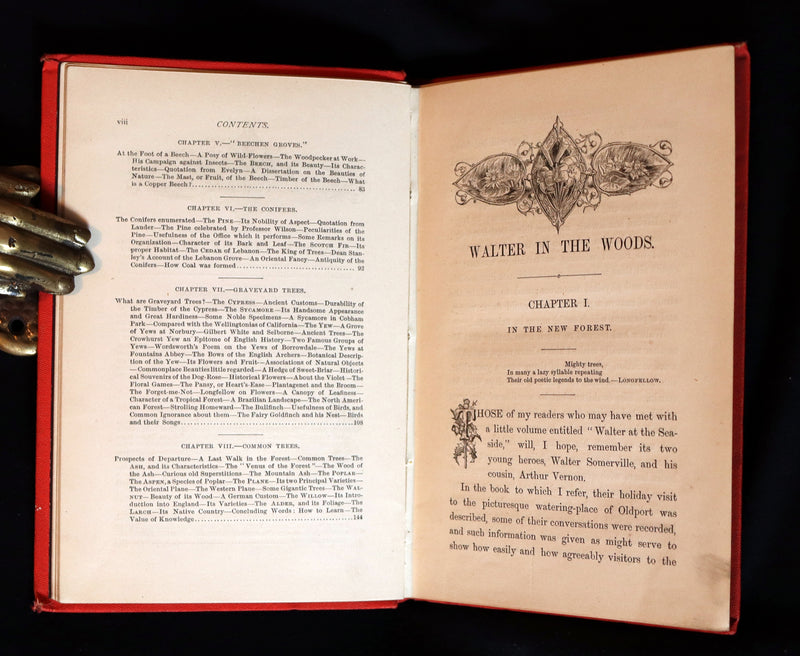 1870 Rare Victorian Book - WALTER IN THE WOODS - The Trees and Common Objects of the Forest.