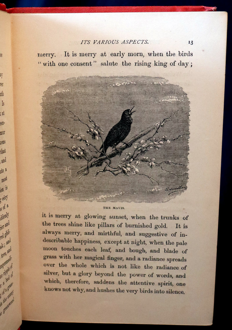 1870 Rare Victorian Book - WALTER IN THE WOODS - The Trees and Common Objects of the Forest.