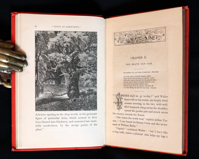 1870 Rare Victorian Book - WALTER IN THE WOODS - The Trees and Common Objects of the Forest.