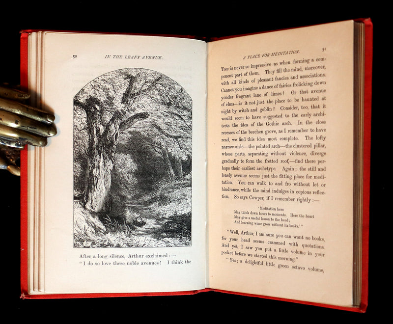 1870 Rare Victorian Book - WALTER IN THE WOODS - The Trees and Common Objects of the Forest.