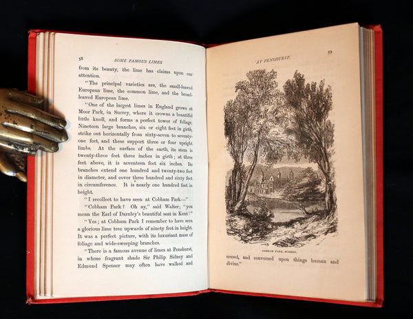 1870 Rare Victorian Book - WALTER IN THE WOODS - The Trees and Common Objects of the Forest.