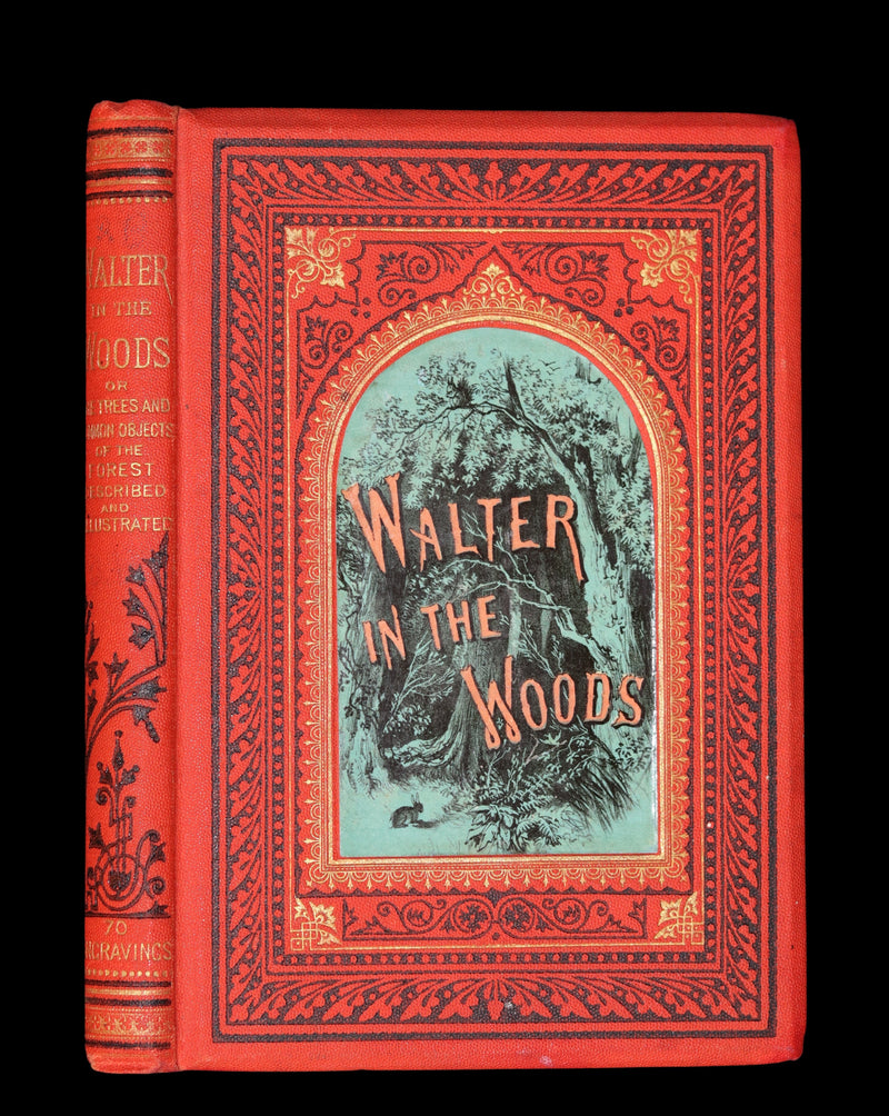 1870 Rare Victorian Book - WALTER IN THE WOODS - The Trees and Common Objects of the Forest.