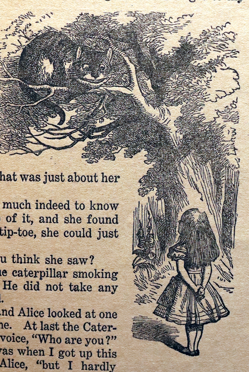 1900 Rare Book - Alice's Adventures in Wonderland by Lewis Carroll published by Donohue.