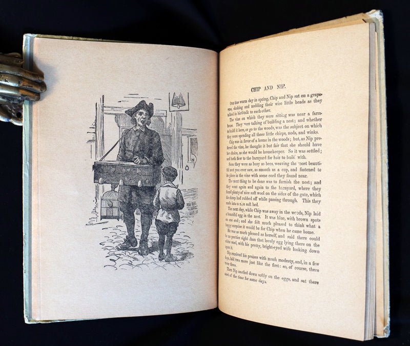 1900 Rare Book - Alice's Adventures in Wonderland by Lewis Carroll published by Donohue.