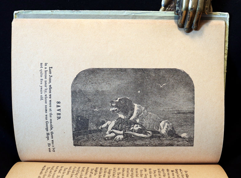1900 Rare Book - Alice's Adventures in Wonderland by Lewis Carroll published by Donohue.