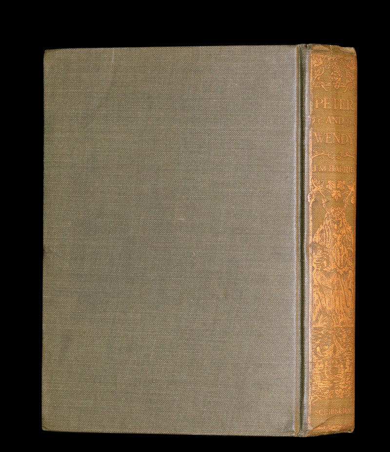 1911 Rare First Edition - PETER PAN - Peter and Wendy by James Matthew Barrie illustrated by F. D. Bedford.