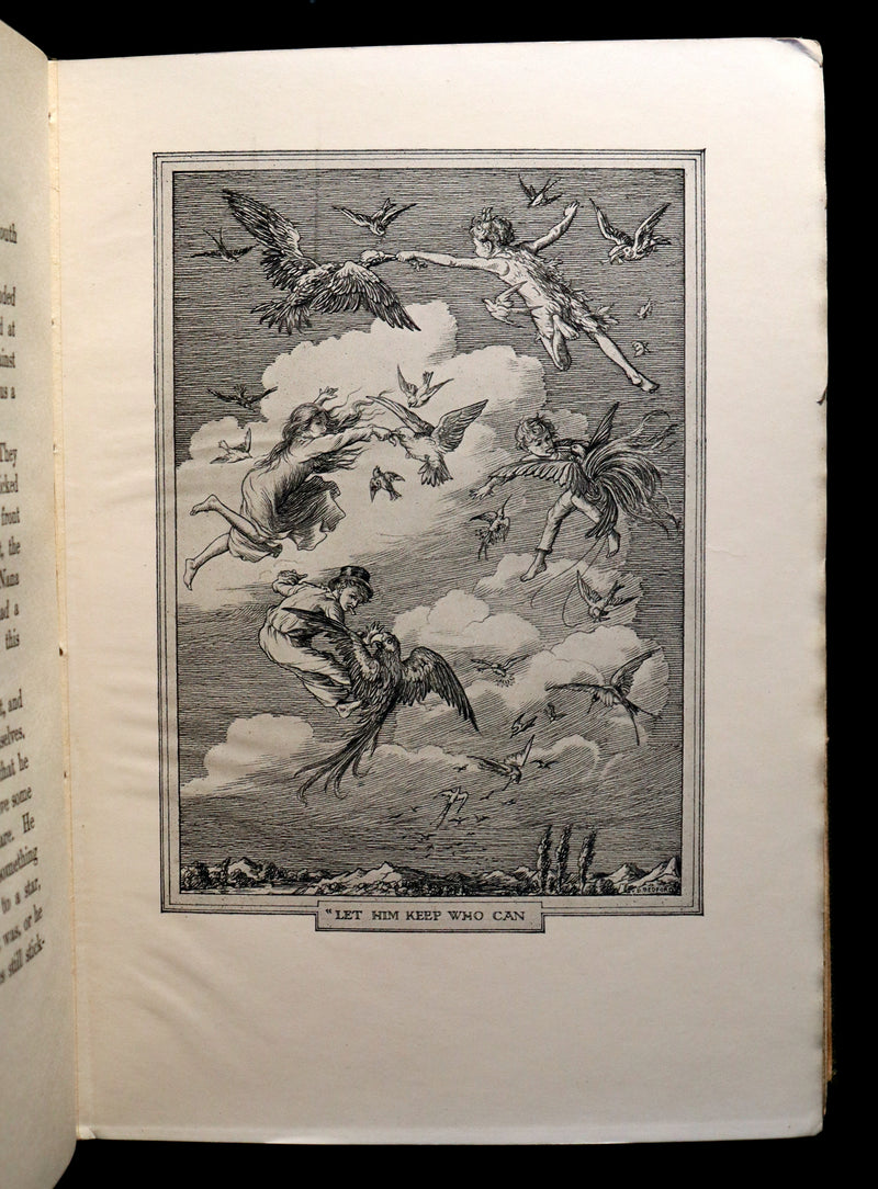 1911 Rare First Edition - PETER PAN - Peter and Wendy by James Matthew Barrie illustrated by F. D. Bedford.