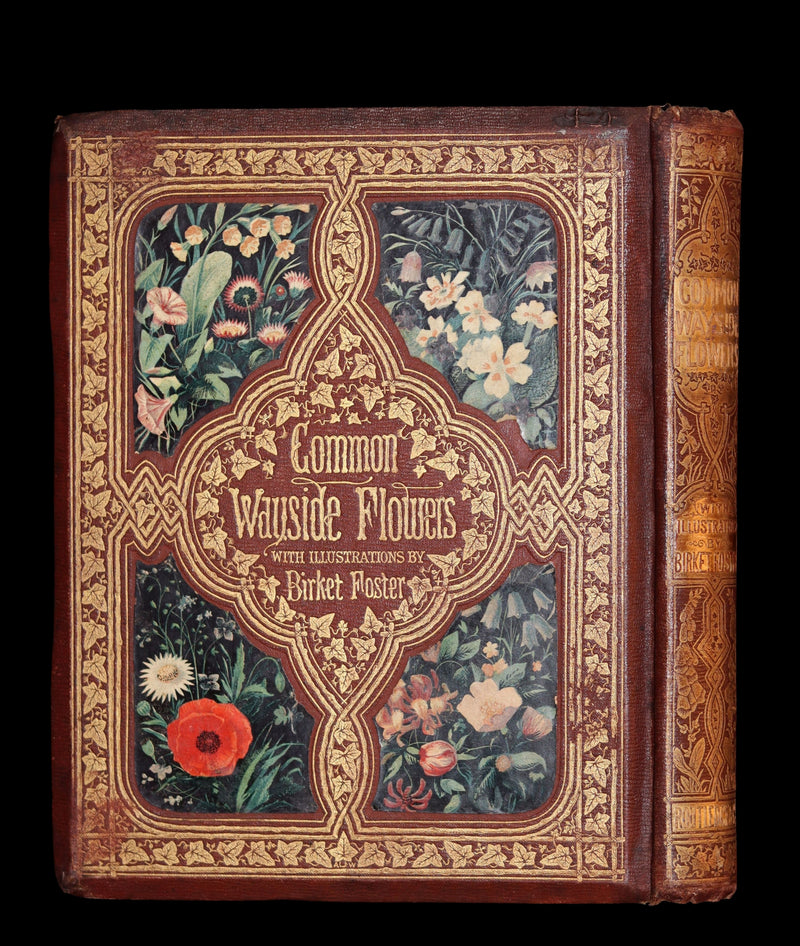 1860 Rare First Edition - Common Wayside Flowers by Thomas Miller & Color Illustrated by Birket Foster.