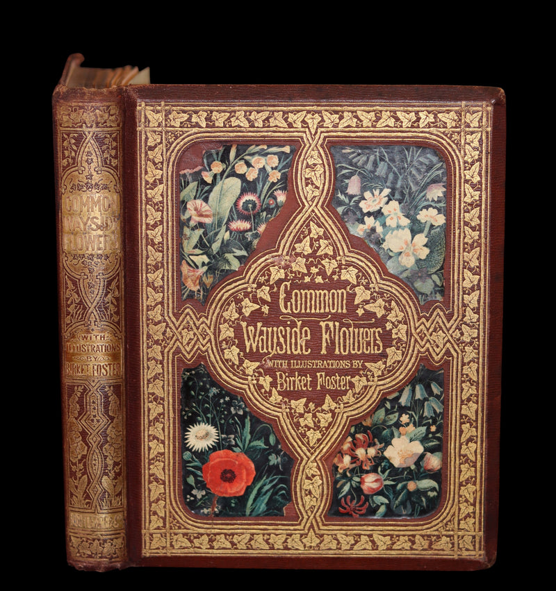 1860 Rare First Edition - Common Wayside Flowers by Thomas Miller & Color Illustrated by Birket Foster.