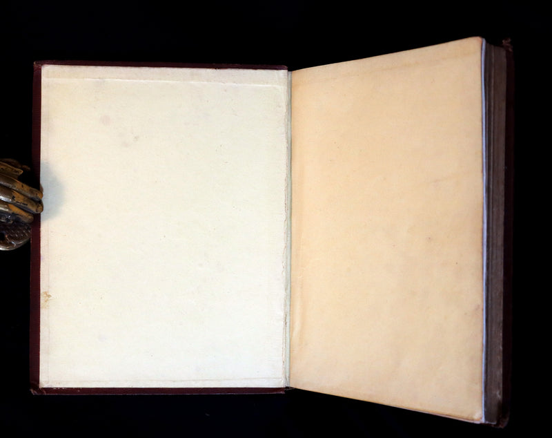 1860 Rare First Edition - Common Wayside Flowers by Thomas Miller & Color Illustrated by Birket Foster.