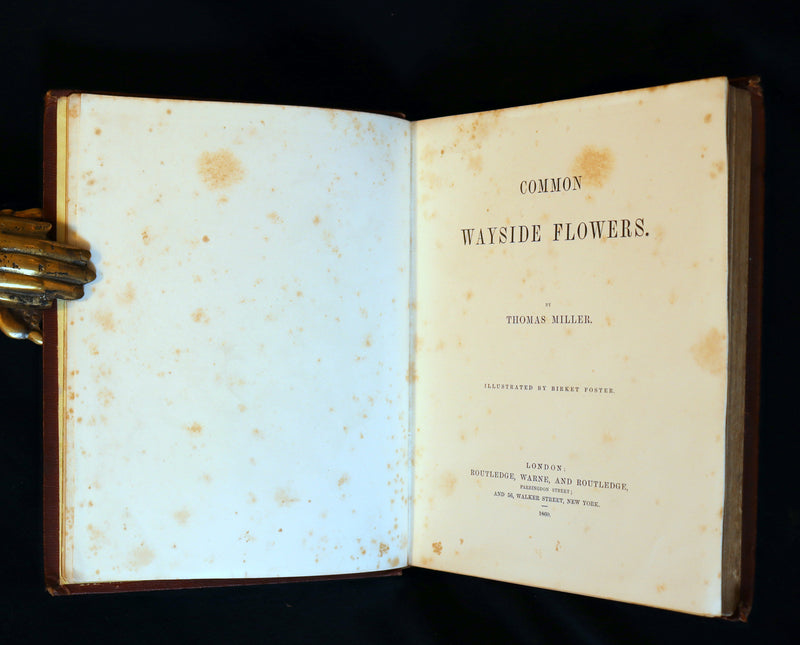 1860 Rare First Edition - Common Wayside Flowers by Thomas Miller & Color Illustrated by Birket Foster.