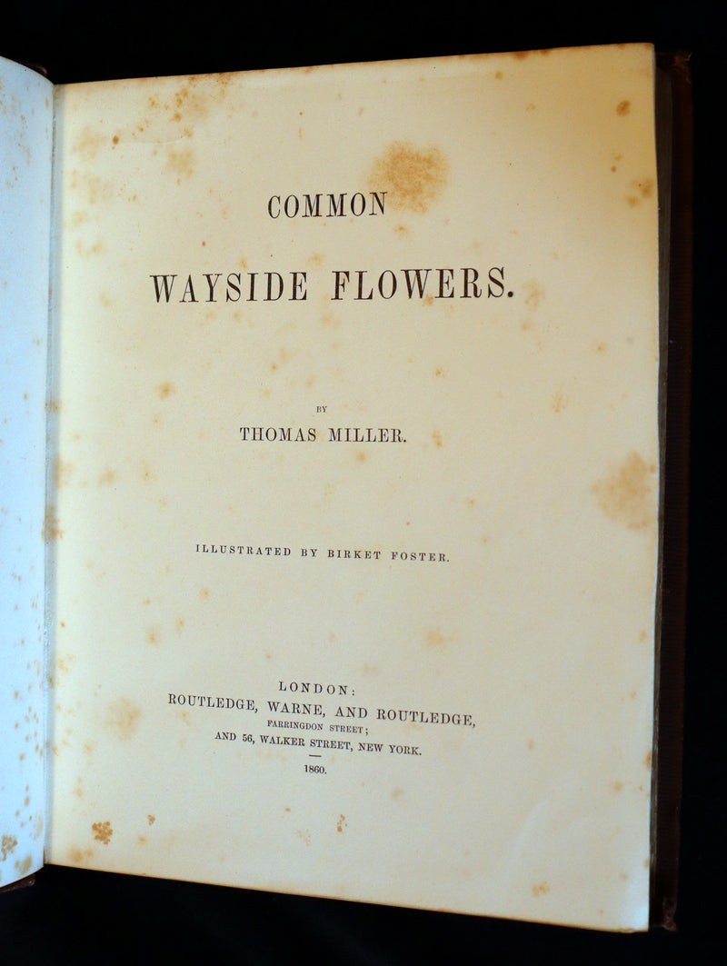 1860 Rare First Edition - Common Wayside Flowers by Thomas Miller & Color Illustrated by Birket Foster.